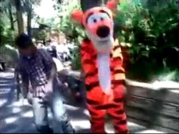 derMOE’s Freitag – Diesmal mit dancing Tigger